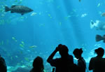 Antalya Aquarium